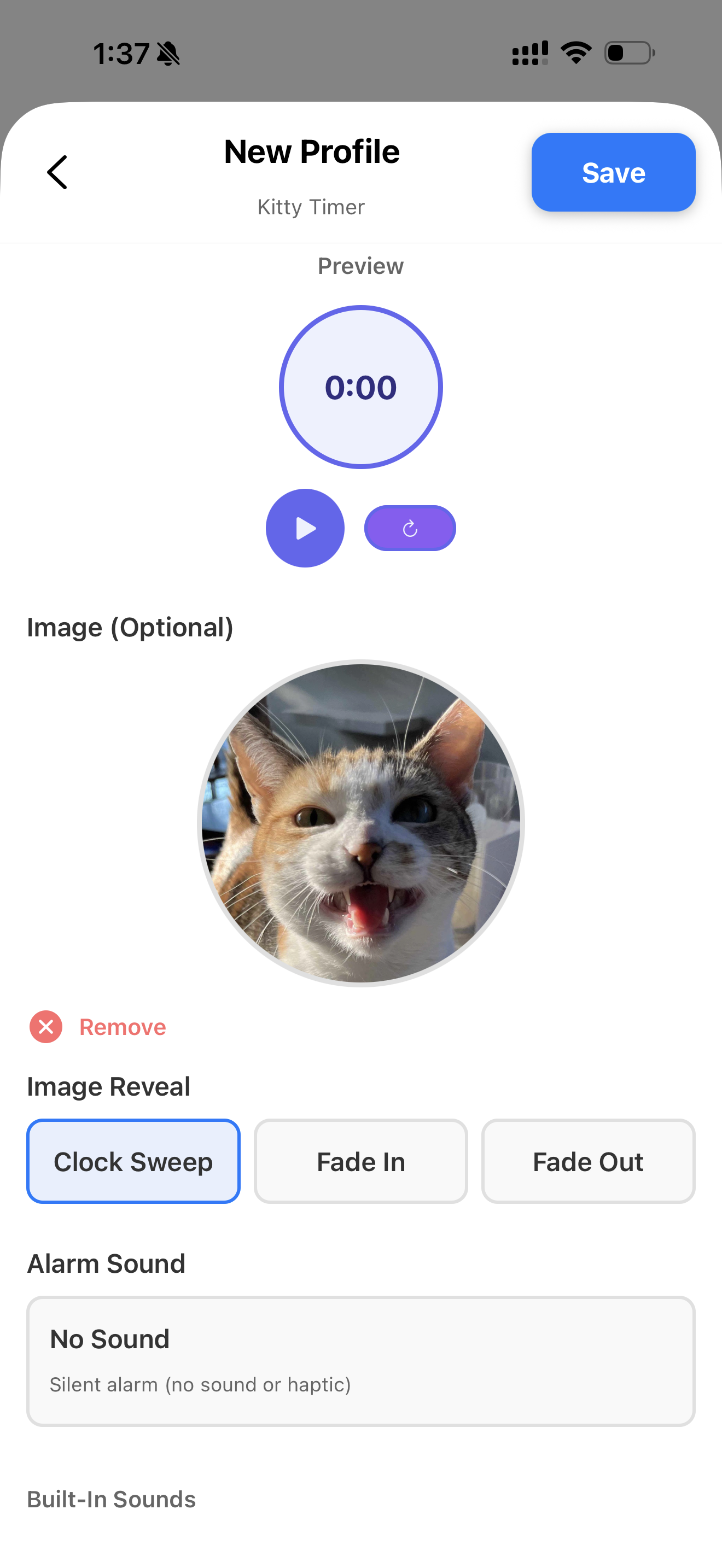 Custom Visual Timer