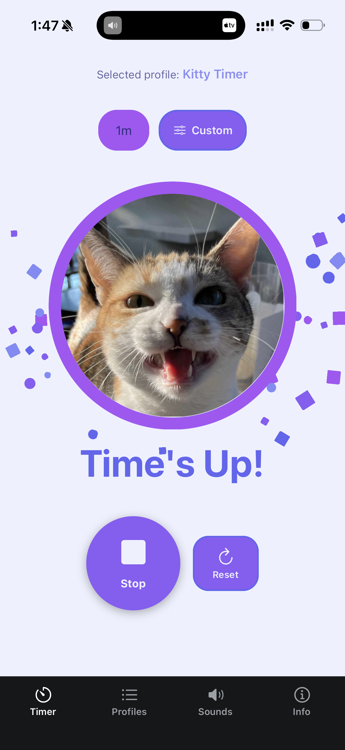 Custom Visual Timer