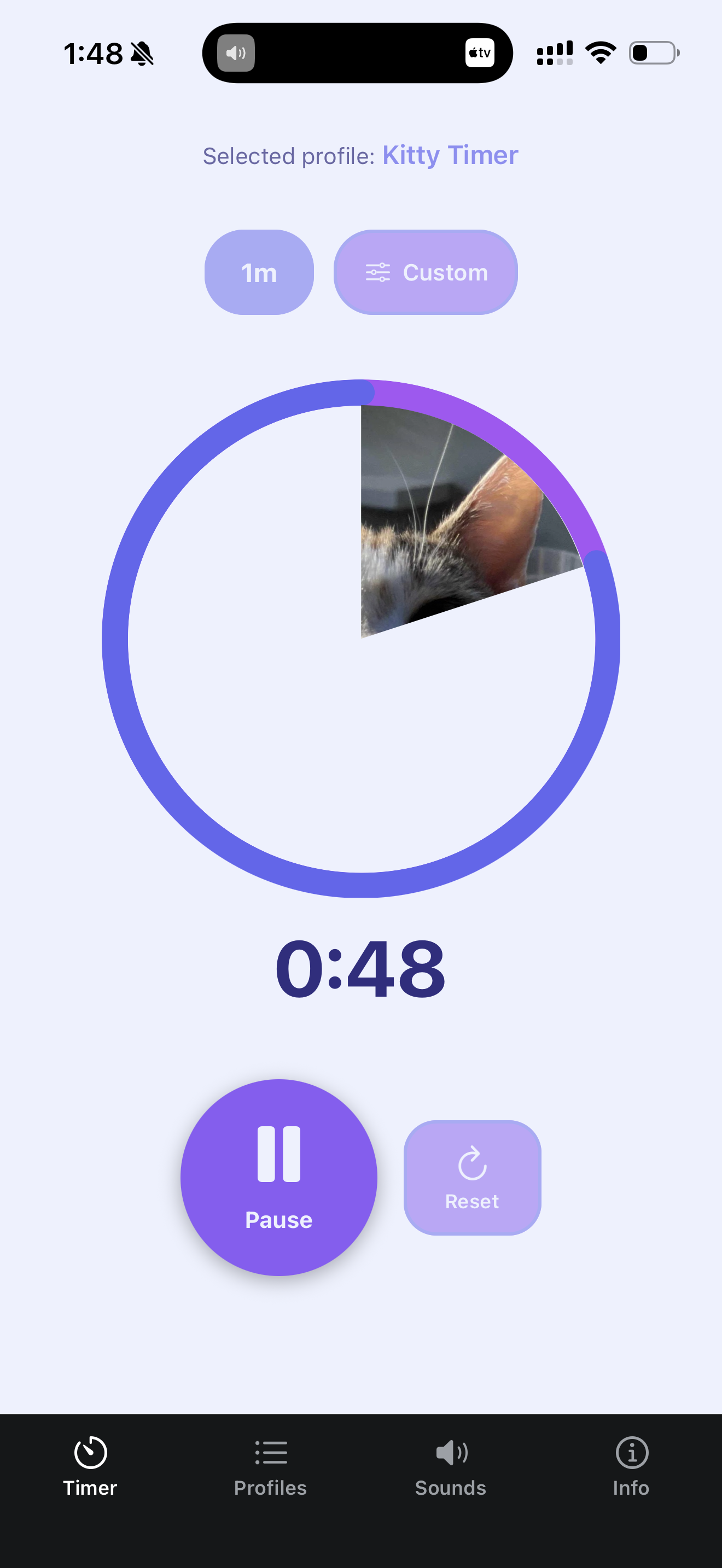 Custom Visual Timer